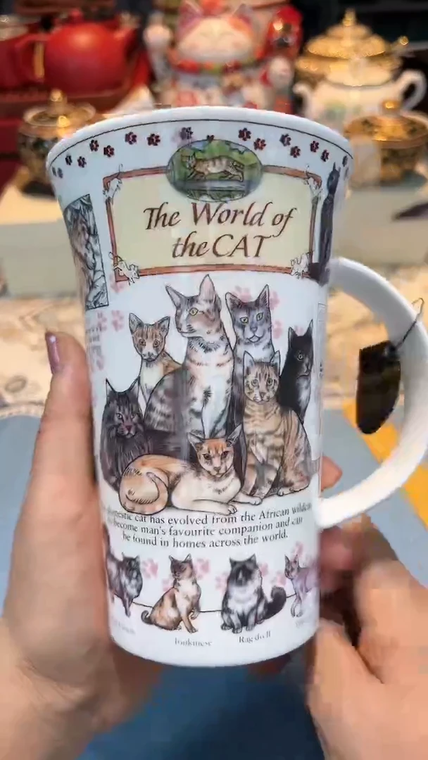 【闪购商品】瓷片111111111111111111