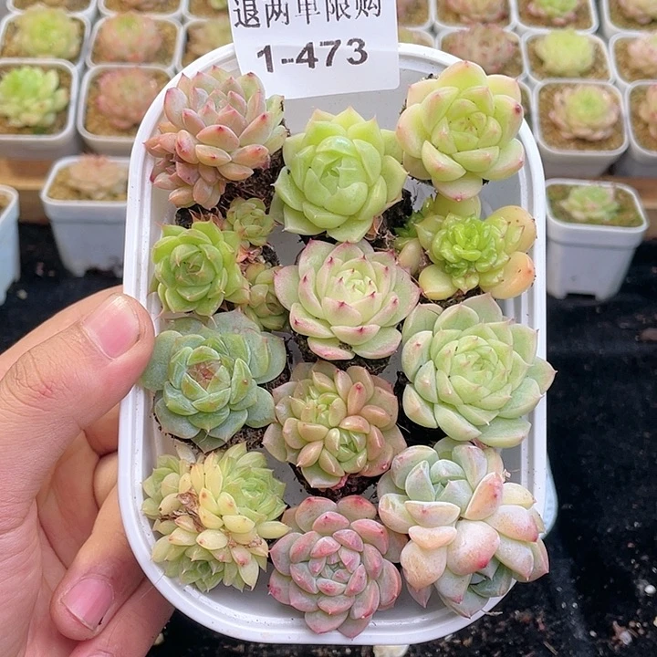 【闪购商品】1-473