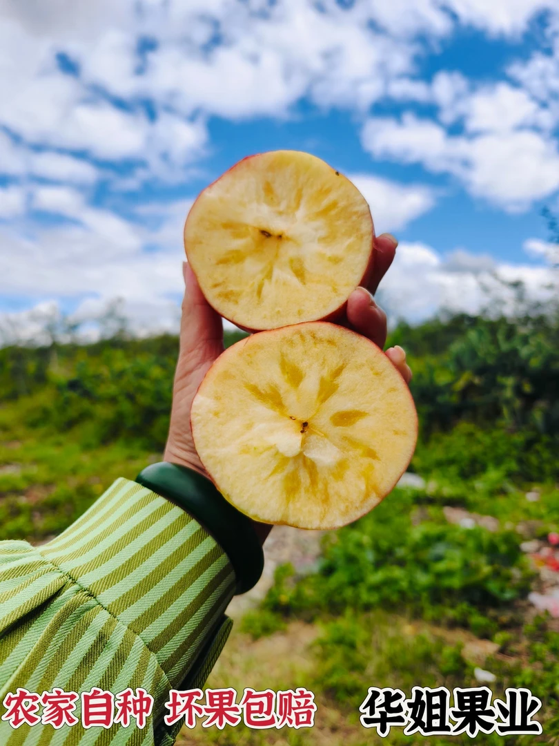 大凉山盐源脆甜苹果 农家自种 可连皮吃 糖心5斤装 8斤装