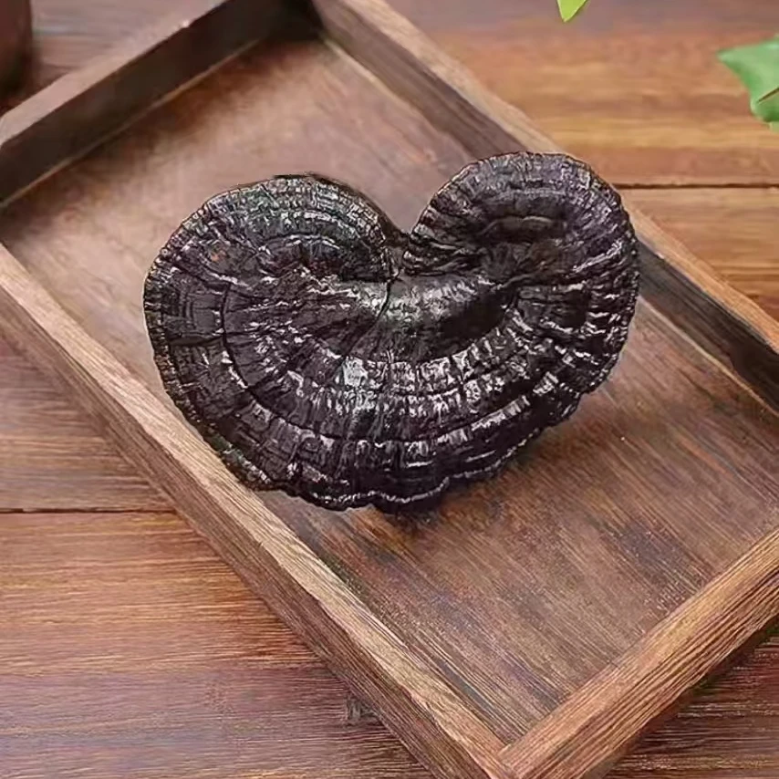 煲汤泡酒黑灵芝一个