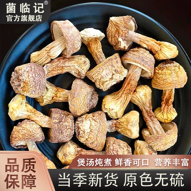 云南姬松茸煲汤炒肉都特别的合适， 精选巴西菇蘑菇 50g-500g营养