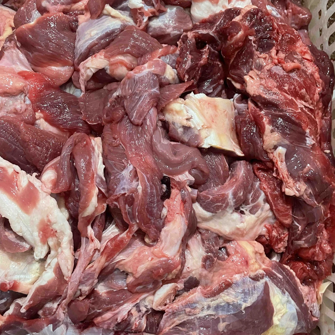 原切牛肉筋（牛肉头、批发筋头巴脑）【红烧、炖】