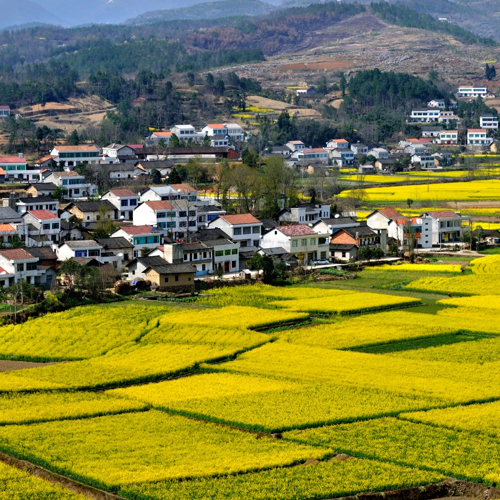 松滋乡村农产品 阿江走村串户 散装称重 包邮