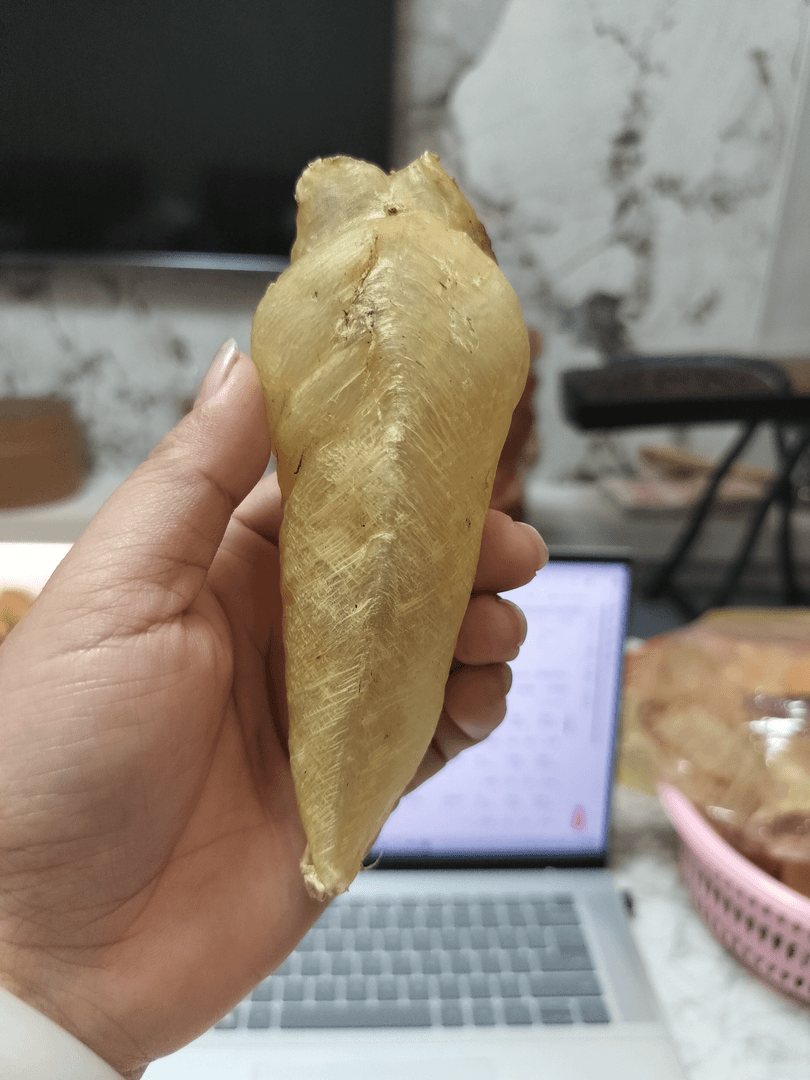 印白17克1头包邮到家