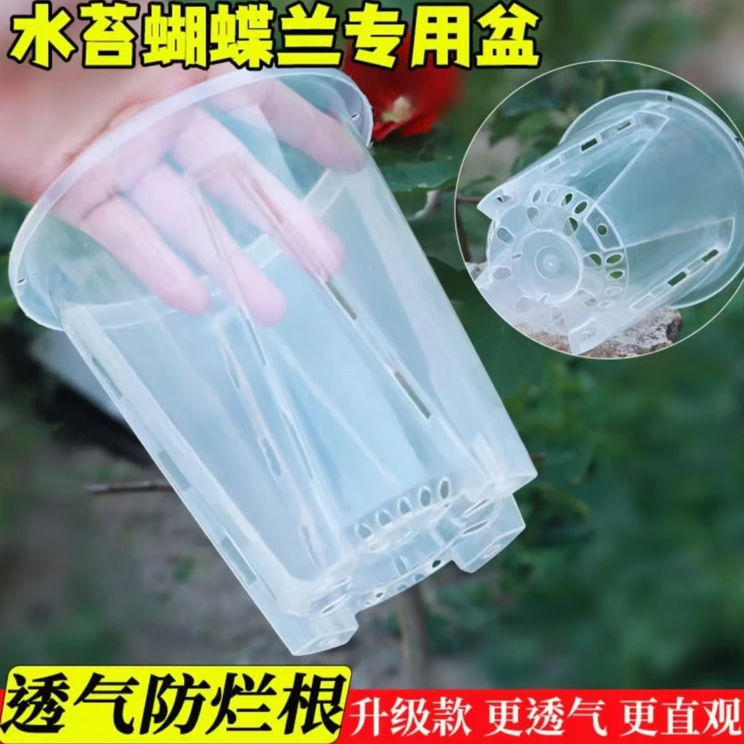 加厚兰花水苔蝴蝶兰专用塑料花盆镂空透明透气桌面绿植盆家用控根