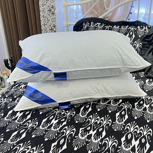 买一送一枕头，50x70cm枕芯，枕头，高枕不塌枕头芯护颈椎家用，棉枕