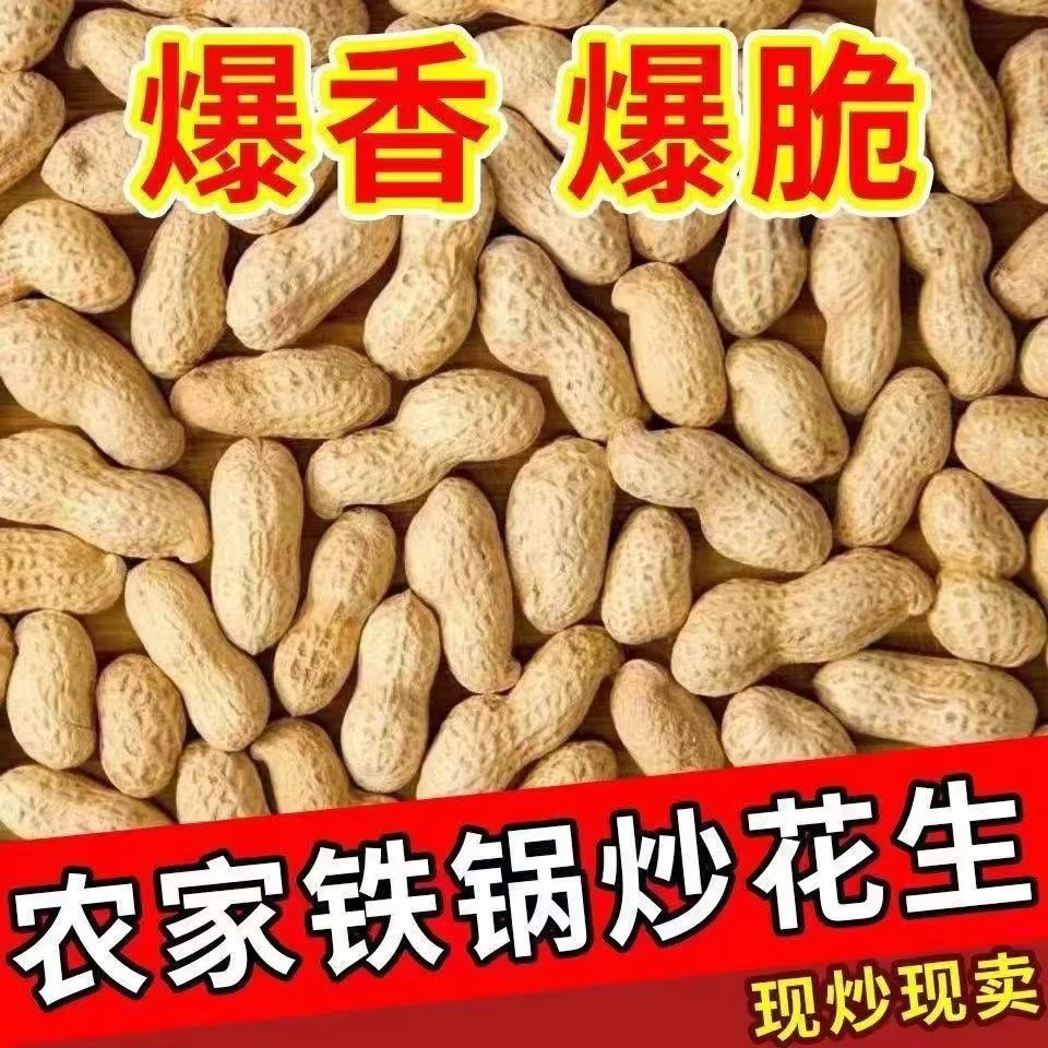 (今年新货)原味炒花生现炒现卖柴火铁锅炒熟花生带壳日照绿茶特级