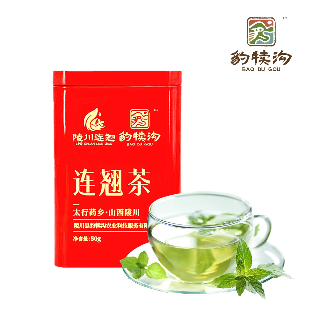 豹犊沟土特产山西陵川连翘茶太行山野生连翘茶50g