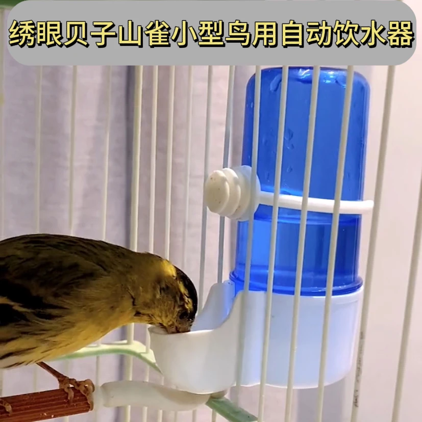 鸟用自动饮水器小鸟喝水器绣眼贝子小鸟喝水下水器竖丝自动下料器