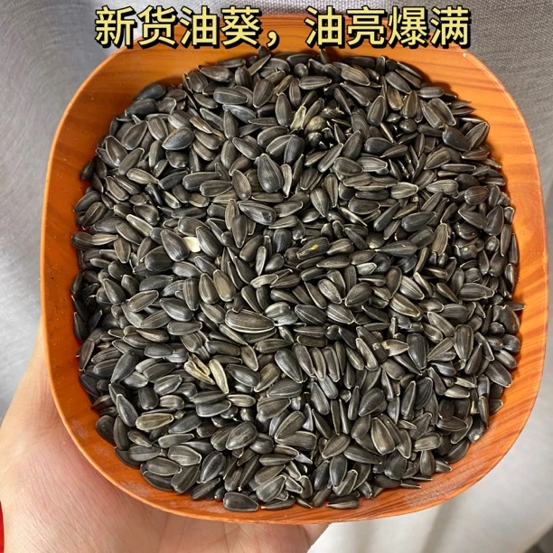 精品新货小油葵生油葵鸟粮牡丹玄凤太阳和尚零食油料粮仓鼠密封小