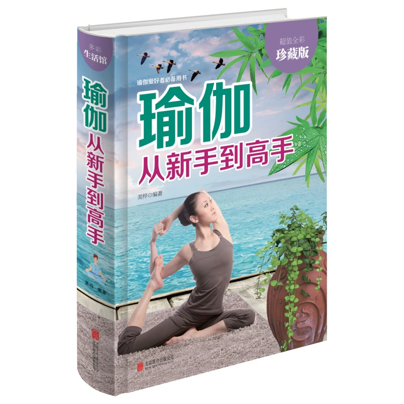 正版 瑜伽从新手到高手（全彩版）从入门到精通 初学到高难度书