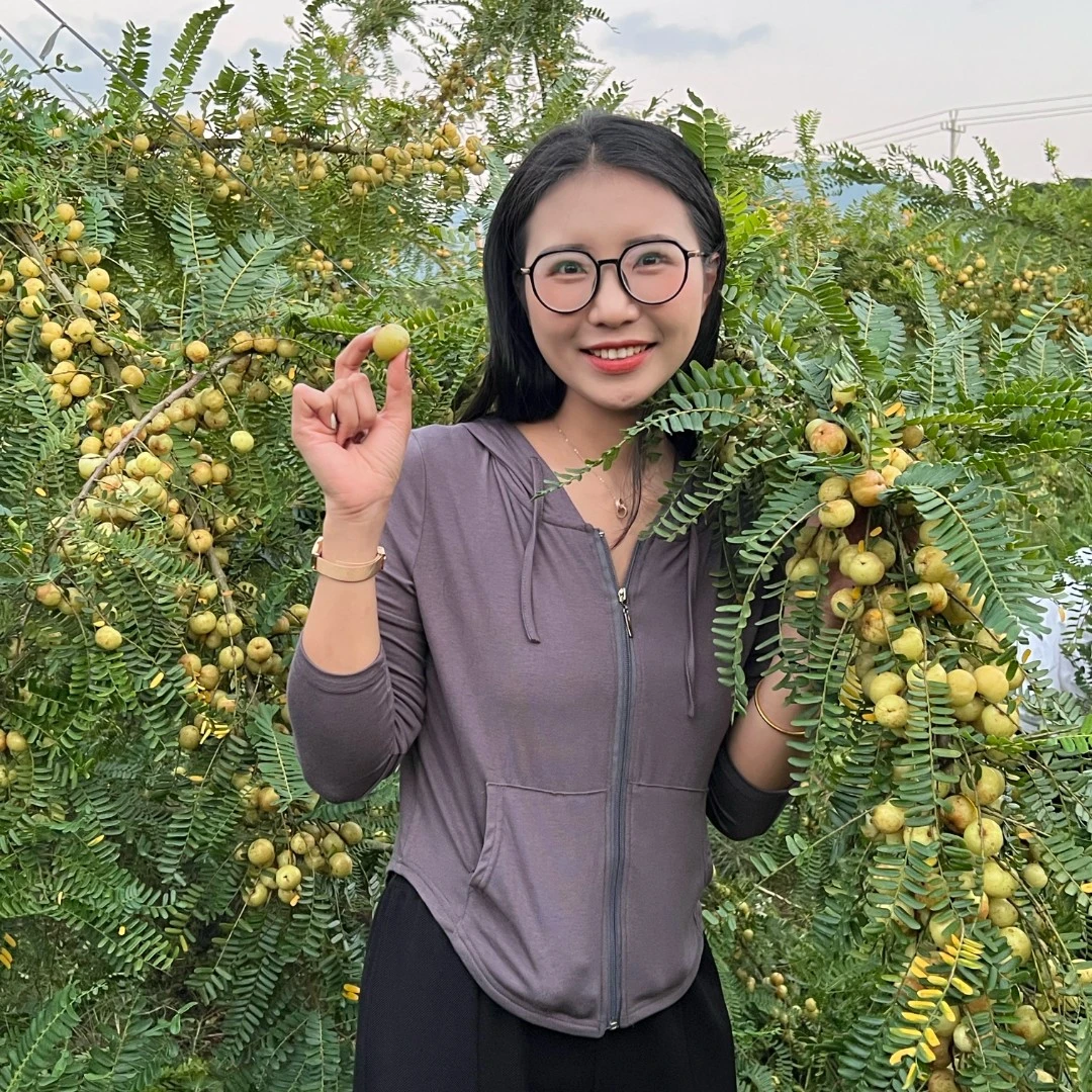 【柿饼甜油甘】潮汕甘甜油甘 每天现摘 新鲜发货、精选大果  2斤