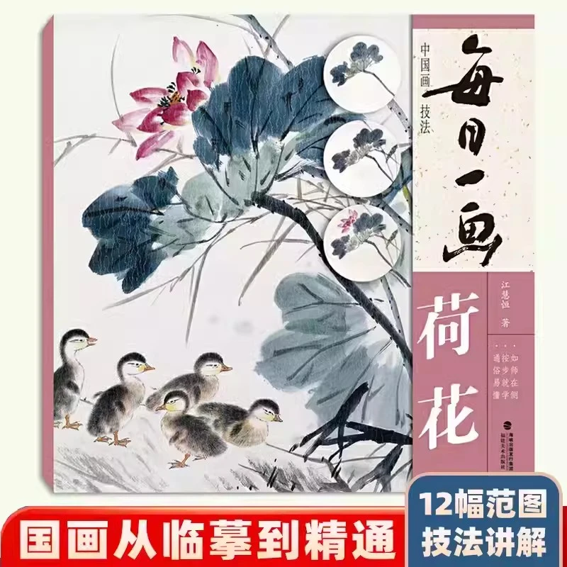 每日一画荷花中国画技法绘画技法步骤解析图文并茂作品构图临摹欣
