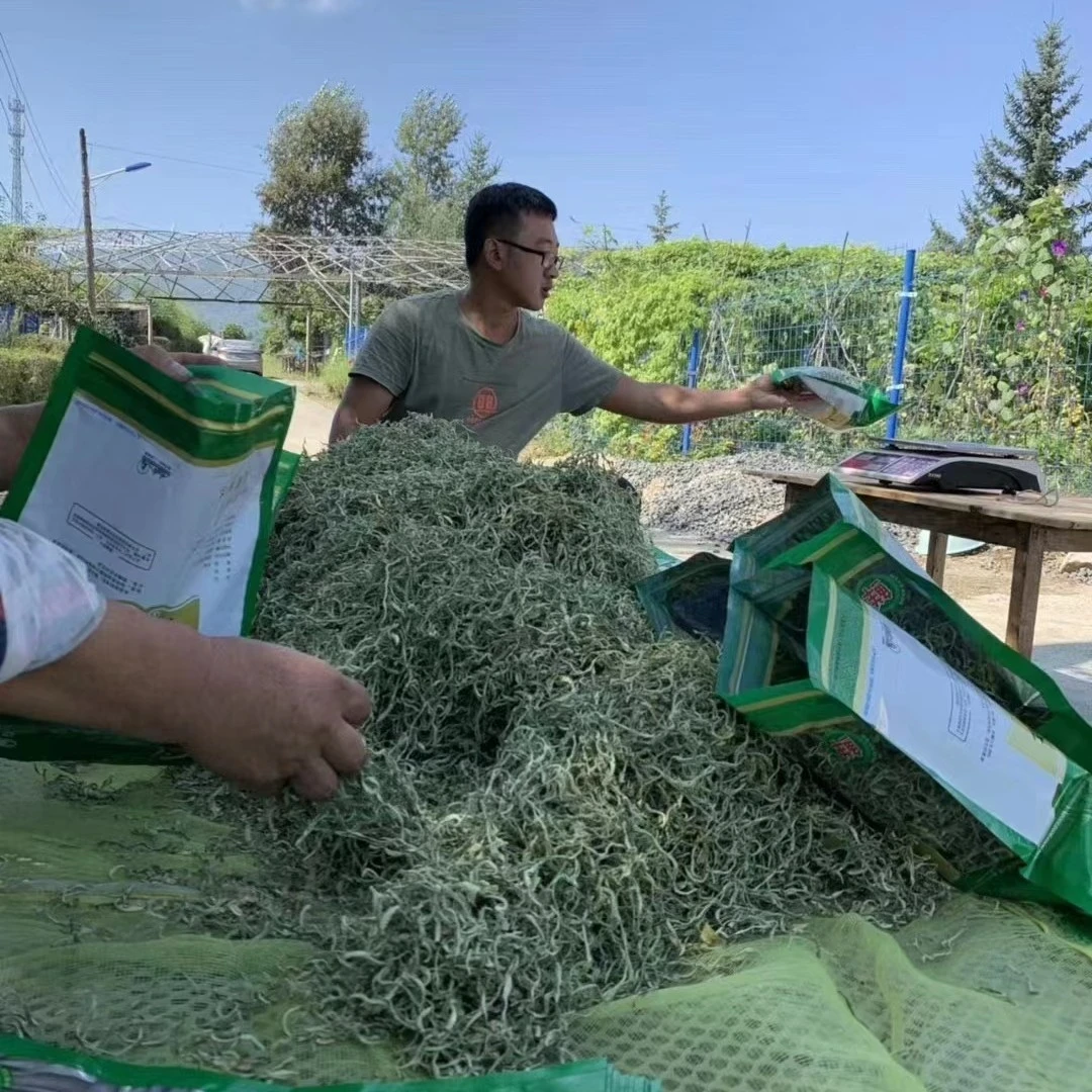 东北油豆角丝 2025年新