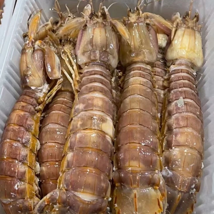 连云港新鲜皮皮虾 每盒500/克 不肥包退 不新鲜包退 冷冻保存