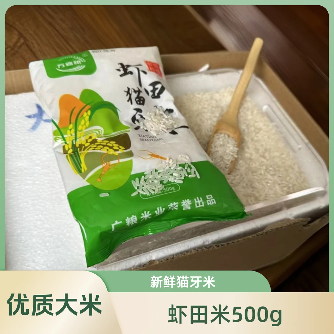 新鲜猫牙米500g装 软糯长粒丝苗米优质大米