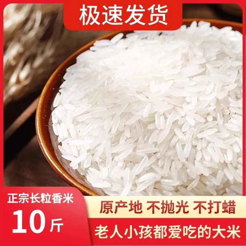 【新人福利】2024年新米10斤长粒猫牙香米包邮