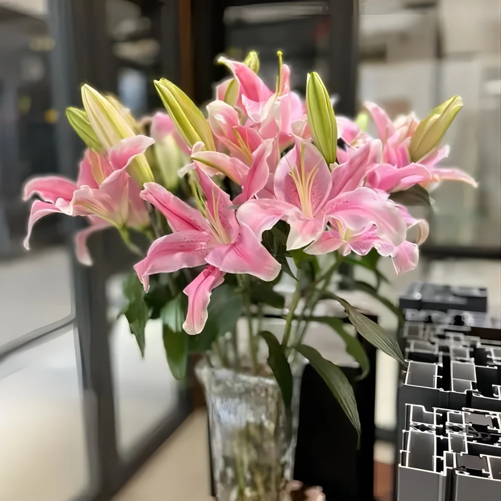 百合 索尔邦 精品鲜切花10枝/扎 3扎共用一个运费