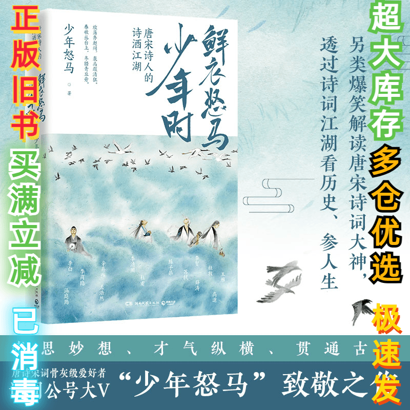 二手鲜衣怒马少年时 唐宋诗人的诗酒江湖少年怒马9787540493653