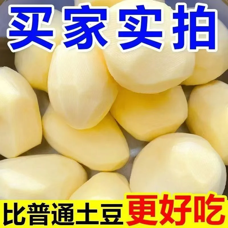 【陕北小土豆】2024黄皮新土豆新鲜洋芋
