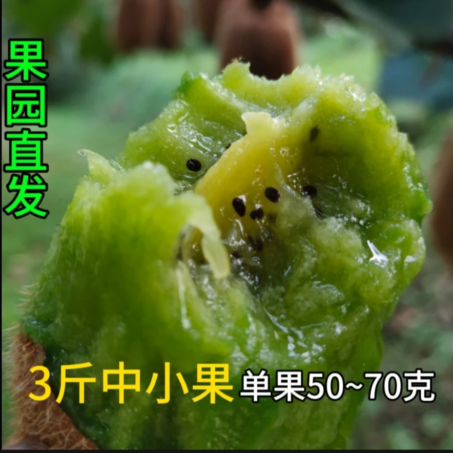 修文贵长猕猴桃新鲜水果绿心奇异果香甜多汁应季