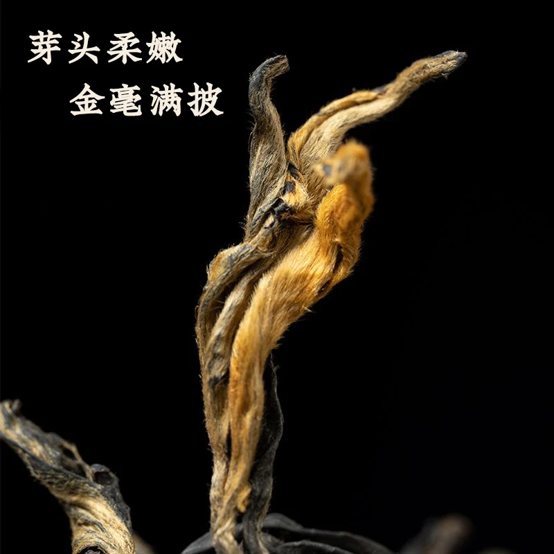 云南凤庆滇红2024年头春古树红茶春茶新茶蜜香薯香野花香半斤 装