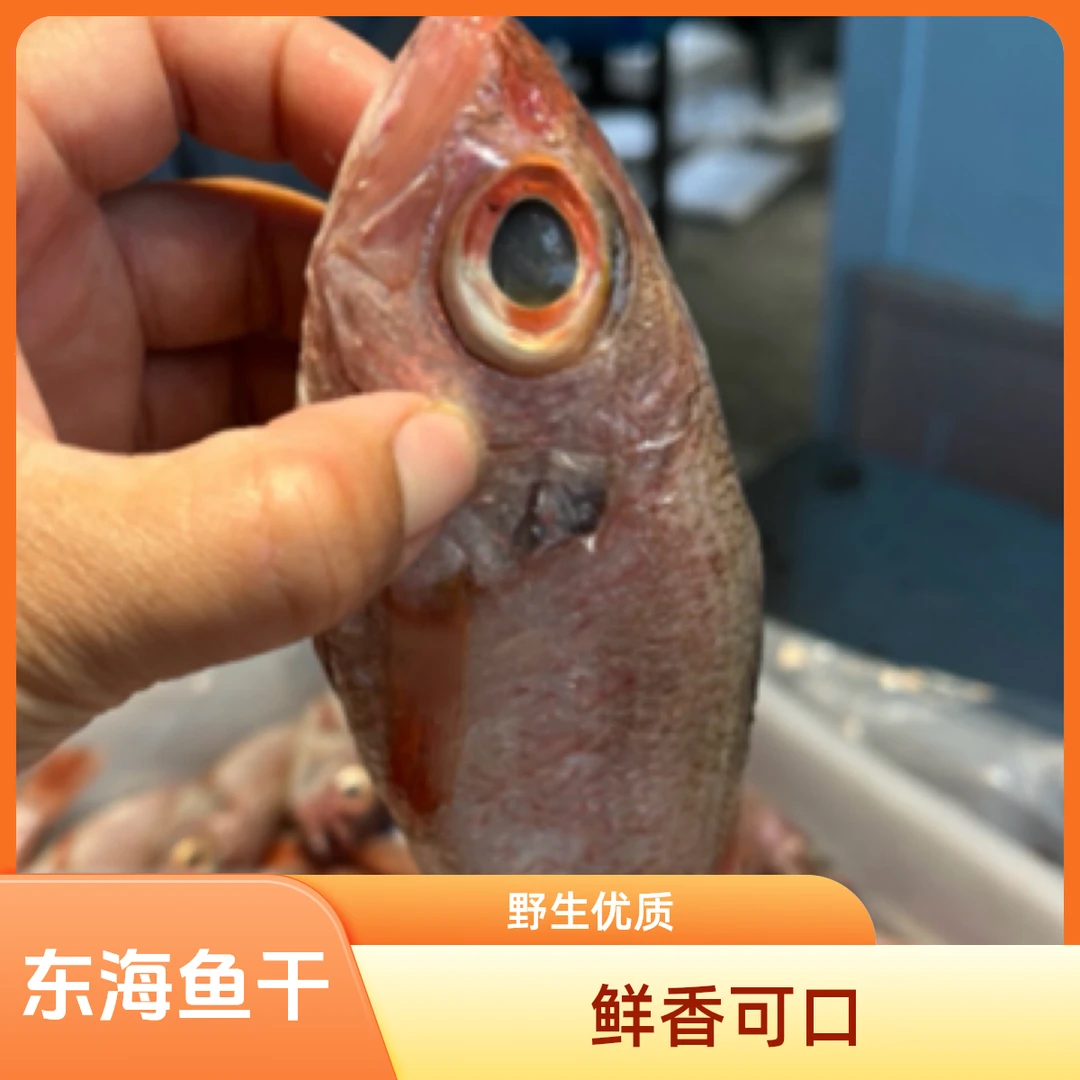 东海野生红果鲤鱼干香煎清蒸煲汤美味佳品