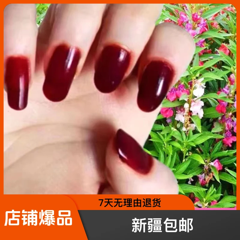 【新疆包邮】指甲花粉凤仙花粉指甲花凤仙花海娜粉酒红色