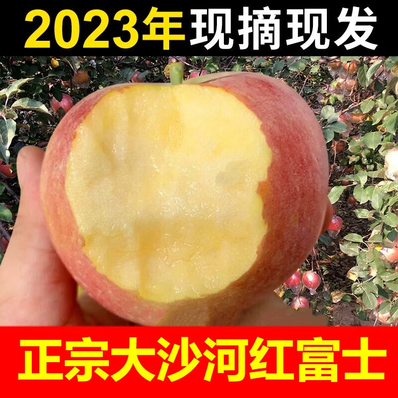 徐州丰县大沙河苹果当季新鲜水果苹果 脆甜 农家