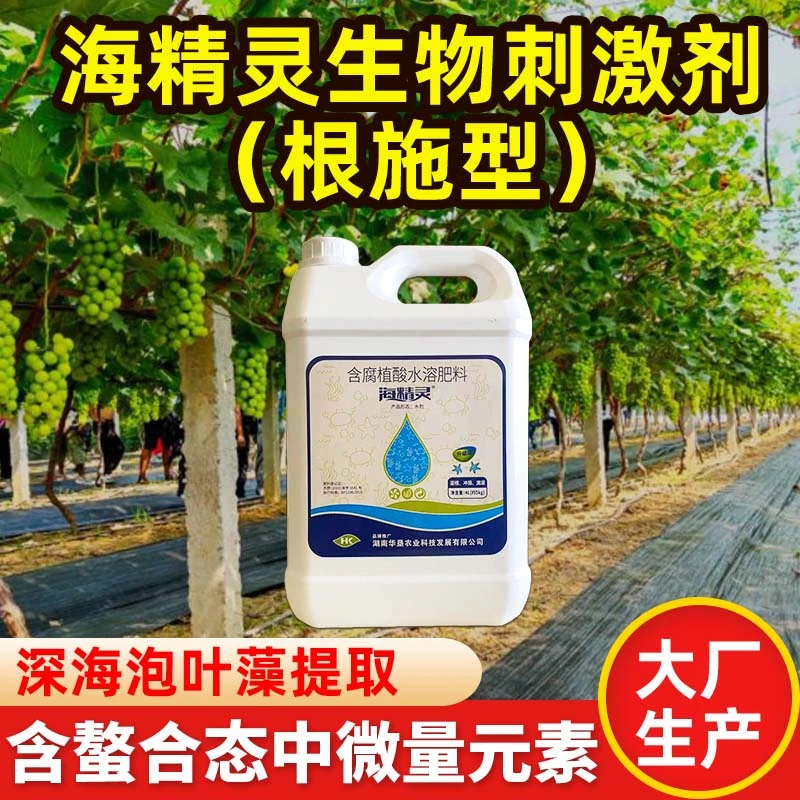 海精灵根施型治理生理黄化修复根系腐植酸海藻精生物刺激剂
