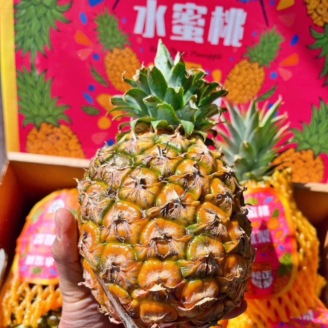 精选正宗海南台农6号水蜜桃凤梨自然熟产地新鲜直发香甜美味爆汁