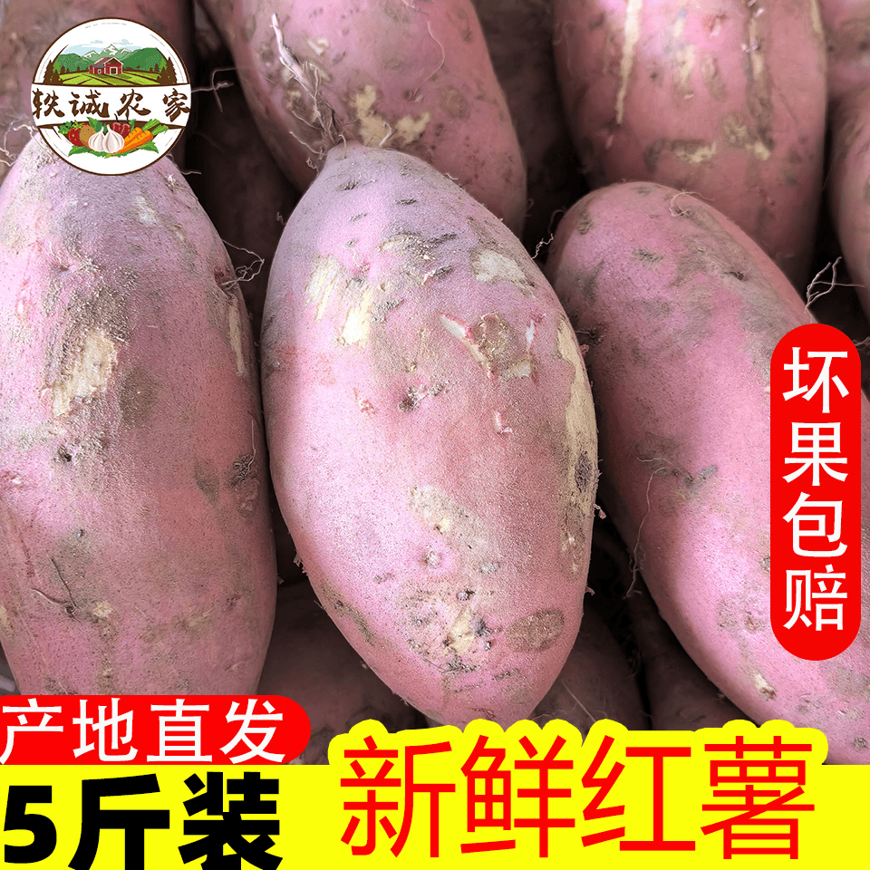 【小元来了】5斤装现挖现发新鲜黄心沙地蜜薯农家番薯龙九红薯红芋