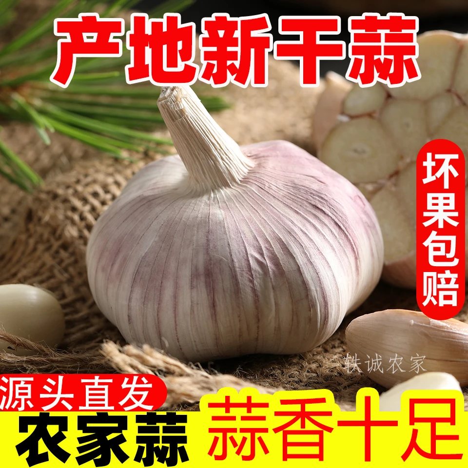 （战哥推荐）2025年干大蒜紫白皮杞县特产自种干大蒜头蔬菜