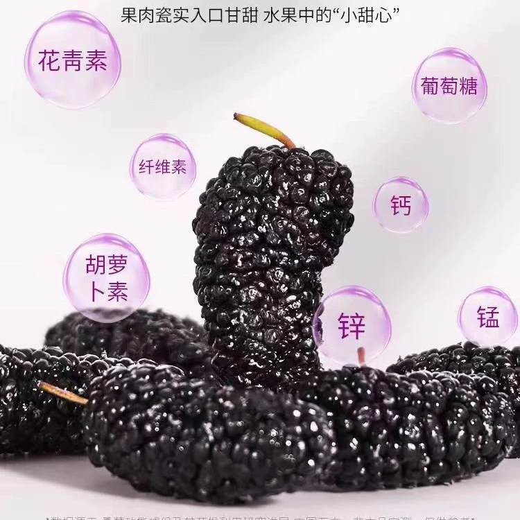 新疆特产头茬桑葚干免洗无添加黑桑椹500克原产地发货包邮