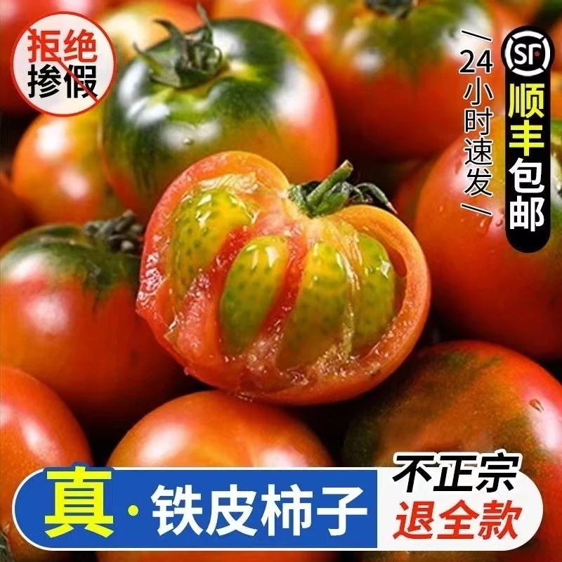 大连铁皮柿子，绿腚水果番茄，酸甜可口3/5斤顺丰包邮新鲜食用自然
