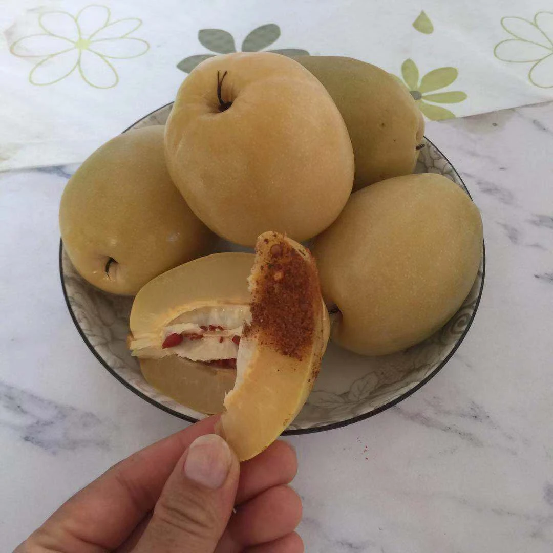 正宗云南李明泡木瓜腌制水泡/新鲜纯酸木瓜整个散装1/3斤批发