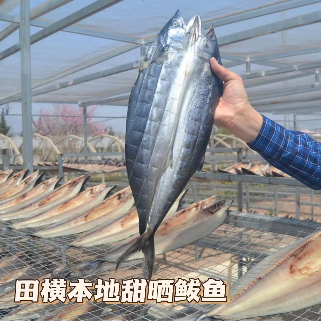 田横本地甜晒鲅鱼片京东发货