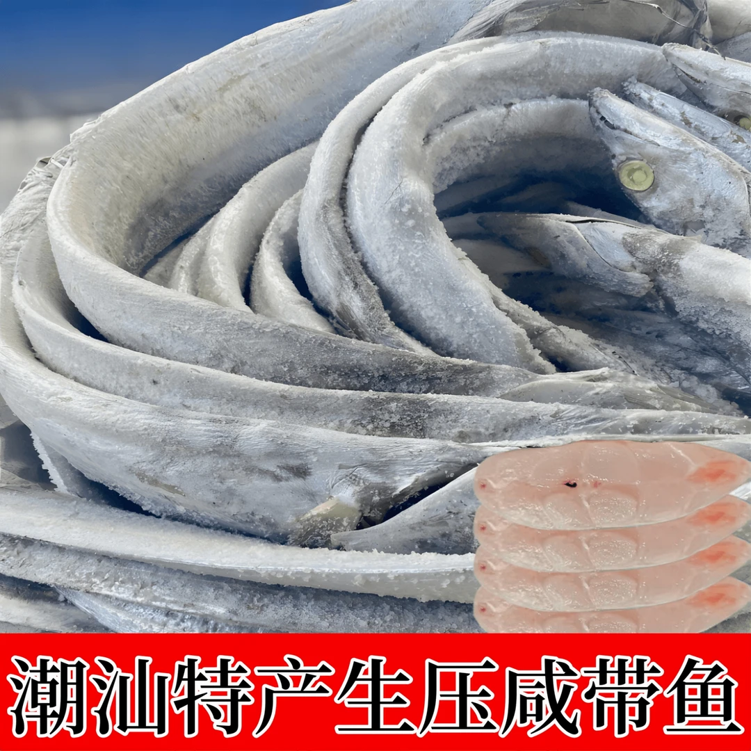 正宗潮汕咸带鱼特产小眼睛带鱼深海鱼雷达网青章咸香带鱼600g肉厚