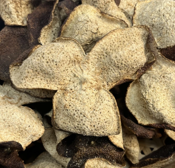 2010年新会梅江小柑皮