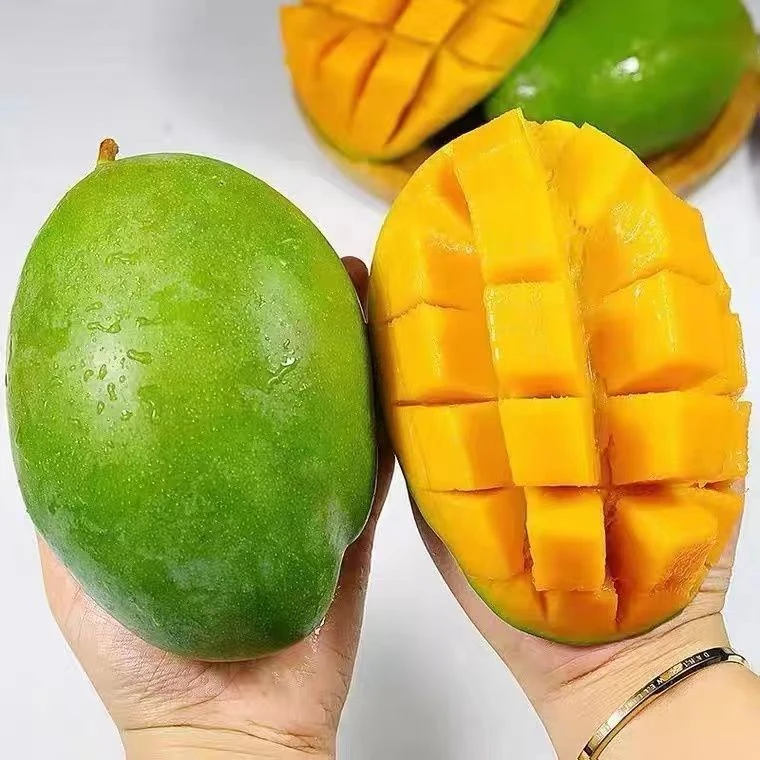 【变软食用】四川凯特芒果9斤整箱新鲜应季水果香甜多汁2