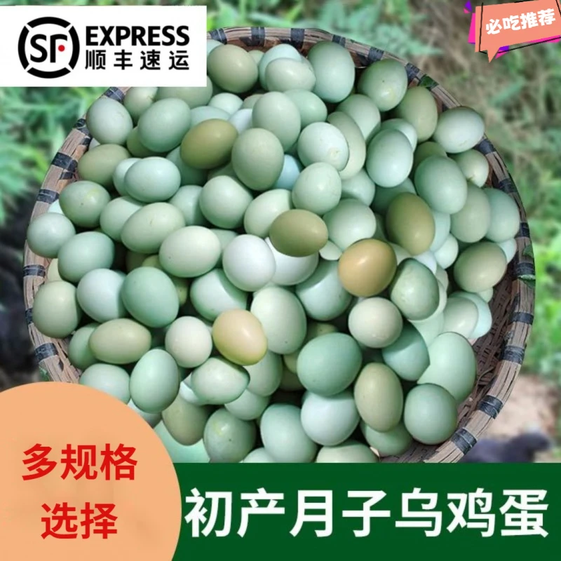 【顺丰包邮】新鲜乌鸡蛋绿壳蛋散养土鸡蛋笨鸡蛋月子蛋年货礼盒