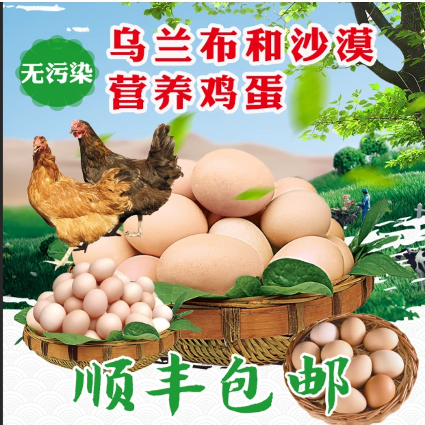 天然沙漠高品质营养健康鸡蛋，40枚/件，4.8斤左右，顺丰包邮