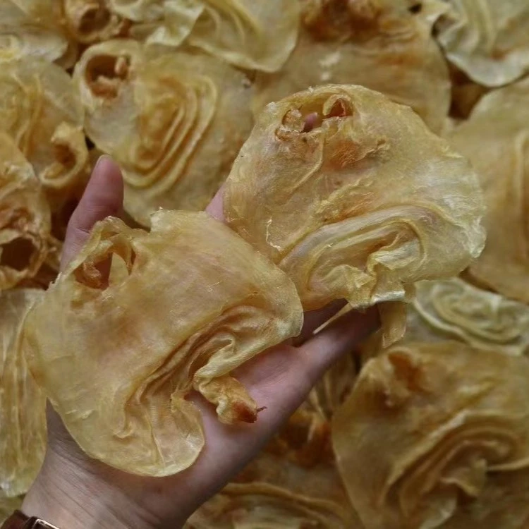 24头赤鱼嘴2个拍厚肉花胶鱼胶肉厚胶质粘手花胶冻炖汤原材料大只g