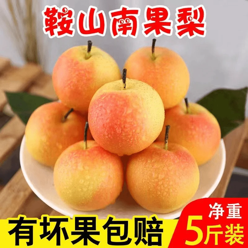 辽宁鞍山口感好吃南果梨南国梨包邮酒香四溢香甜正宗新鲜果园直发