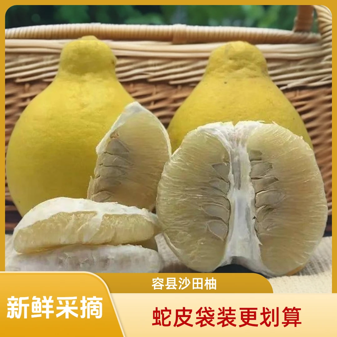 广西容县沙田柚4-50斤柚子标准山顶老树果（蛇皮袋装仅限两广下单）