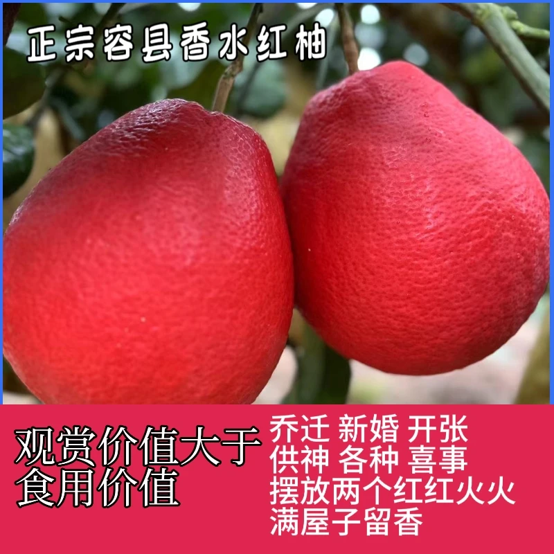 容县香水红柚（暹罗红柚）2斤/4斤送礼喜事放两个寓意红红火火