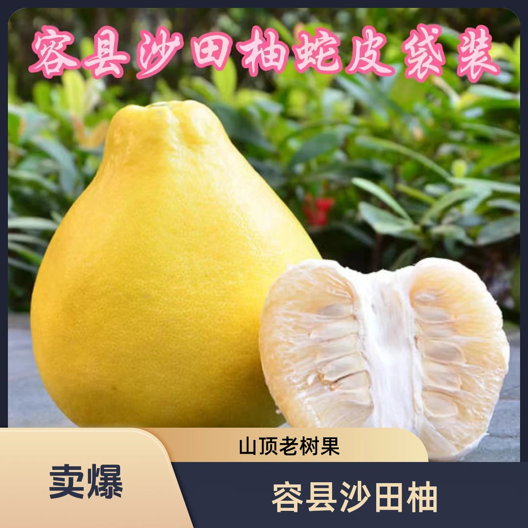 （精选果外省拍这个）广西容县沙田柚4-10斤柚子山顶老树果蛇皮袋装