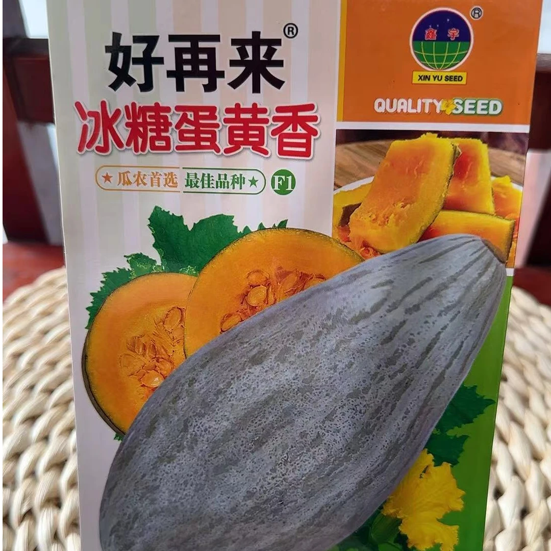 冰糖蛋黄香南瓜种子（10粒左右）