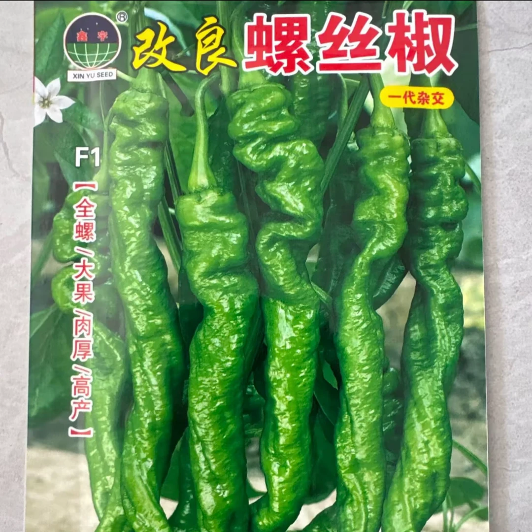 改良螺丝椒种子/全螺型螺丝椒种子