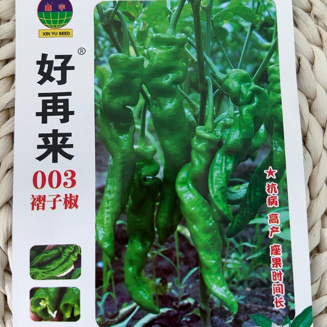 好再来003褶子椒种子